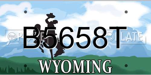 B5658T Wyoming License Plate