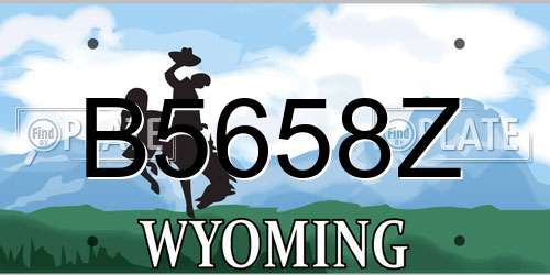 B5658Z Wyoming License Plate