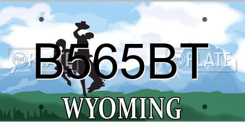 B565BT Wyoming License Plate