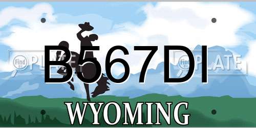 B567DI Wyoming License Plate