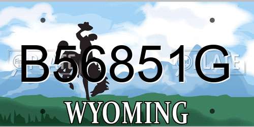 B56851G Wyoming License Plate