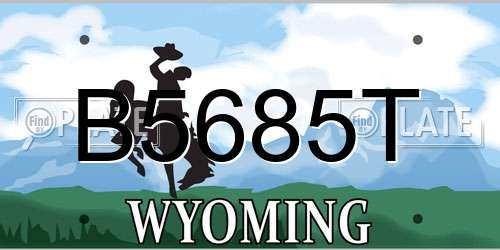 B5685T Wyoming License Plate
