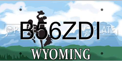 B56ZDI Wyoming License Plate