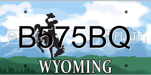 B575BQ Wyoming License Plate