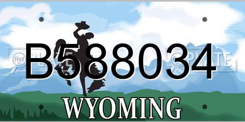 B588034 Wyoming License Plate