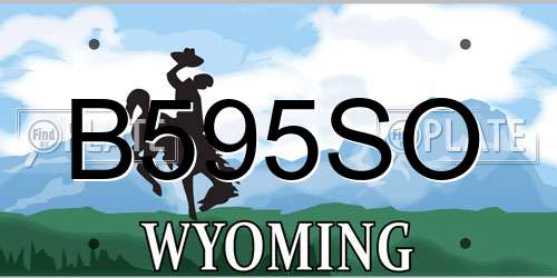 B595SO Wyoming License Plate