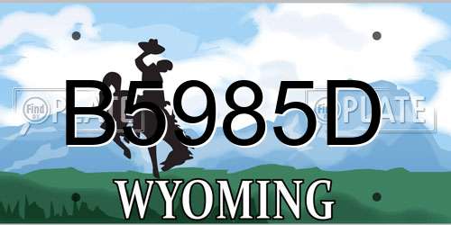 B5985D Wyoming License Plate