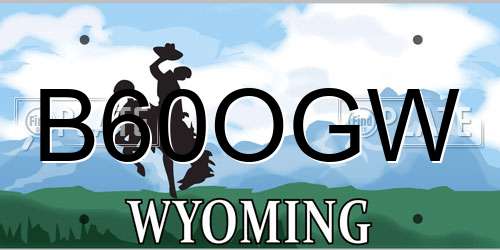 B60OGW Wyoming License Plate
