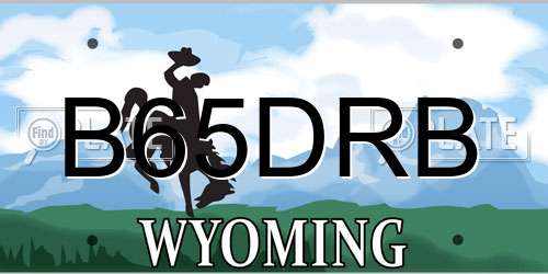 B65DRB Wyoming License Plate