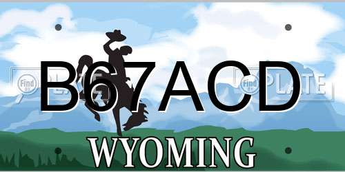 B67ACD Wyoming License Plate