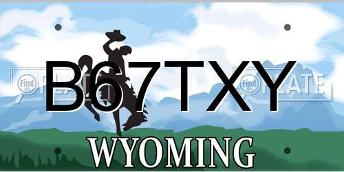B67TXY Wyoming License Plate