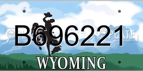 B696221 Wyoming License Plate