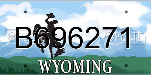 B696271 Wyoming License Plate