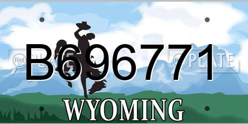 B696771 Wyoming License Plate