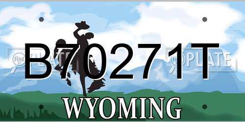 B70271T Wyoming License Plate