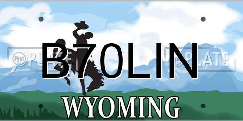 B70LIN Wyoming License Plate