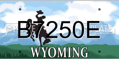B7250E Wyoming License Plate