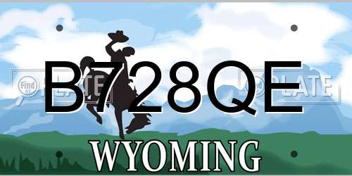 B728QE Wyoming License Plate