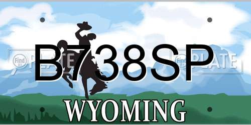 B738SP Wyoming License Plate