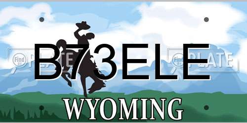 B73ELE Wyoming License Plate