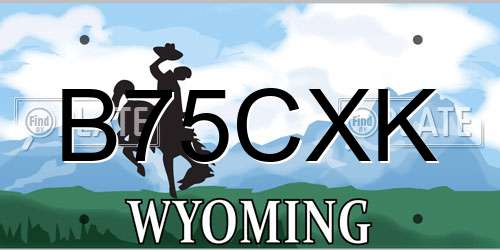 B75CXK Wyoming License Plate
