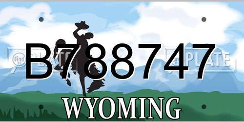 B788747 Wyoming License Plate