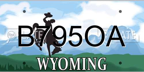 B795OA Wyoming License Plate