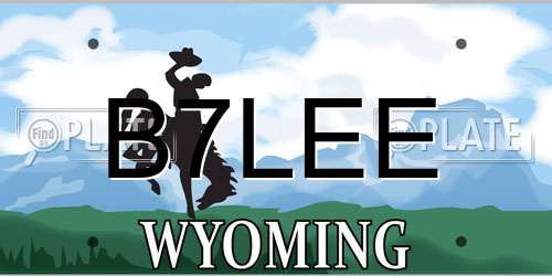 B7LEE Wyoming License Plate