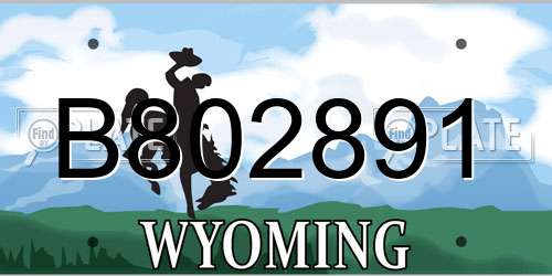 B802891 Wyoming License Plate
