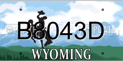 B8043D Wyoming License Plate