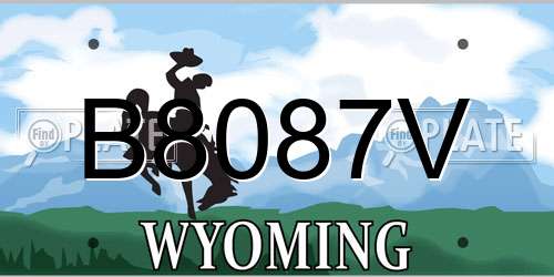 B8087V Wyoming License Plate