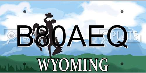 B80AEQ Wyoming License Plate