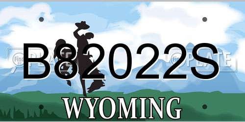 B82022S Wyoming License Plate