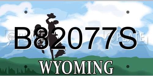 B82077S Wyoming License Plate