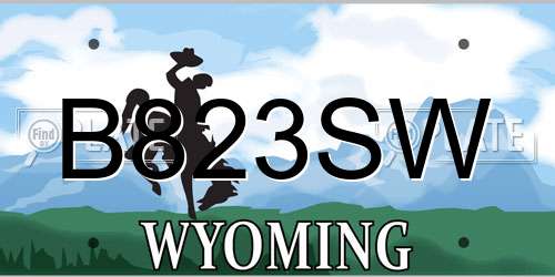 B823SW Wyoming License Plate