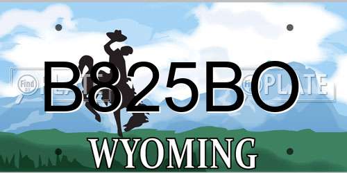 B825BO Wyoming License Plate