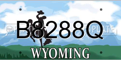 B8288Q Wyoming License Plate