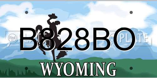 B828BO Wyoming License Plate