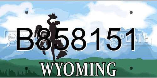 B858151 Wyoming License Plate