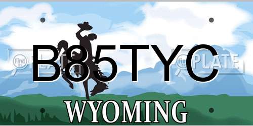 B85TYC Wyoming License Plate