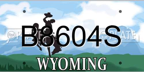 B8604S Wyoming License Plate