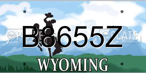 B8655Z Wyoming License Plate