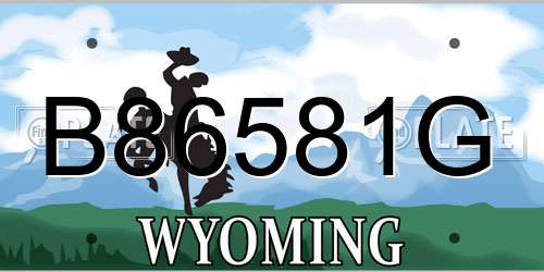 B86581G Wyoming License Plate