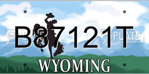 B87121T Wyoming License Plate