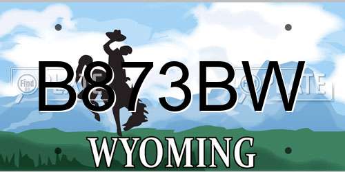 B873BW Wyoming License Plate