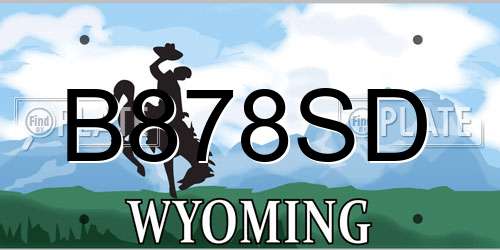 B878SD Wyoming License Plate