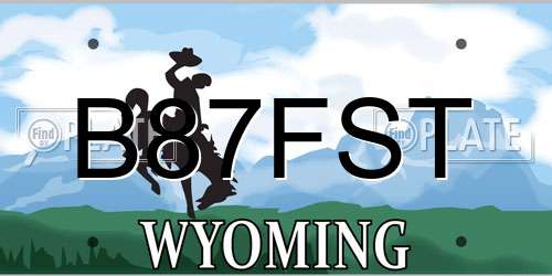 B87FST Wyoming License Plate