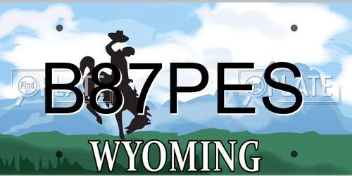 B87PES Wyoming License Plate