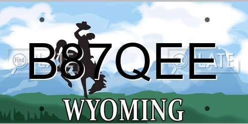 B87QEE Wyoming License Plate