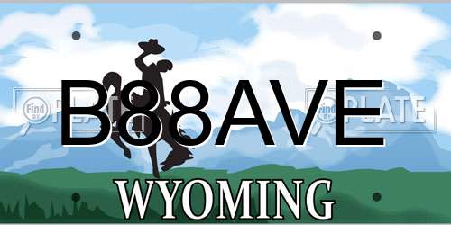 B88AVE Wyoming License Plate